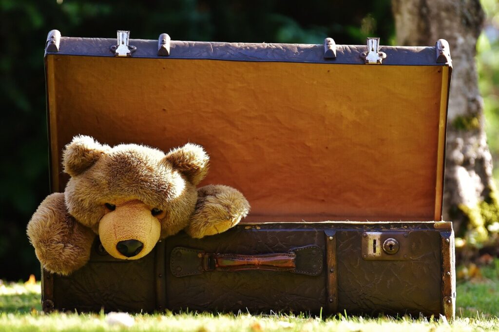 革のスーツケースからクマの人形が出てきている